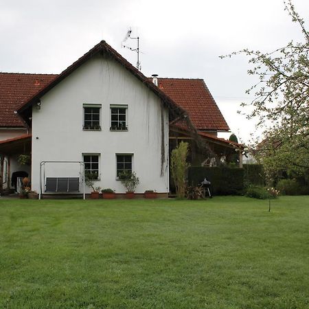 Krásný apartmán v bráně Lužických hor Cvikov Exterior foto