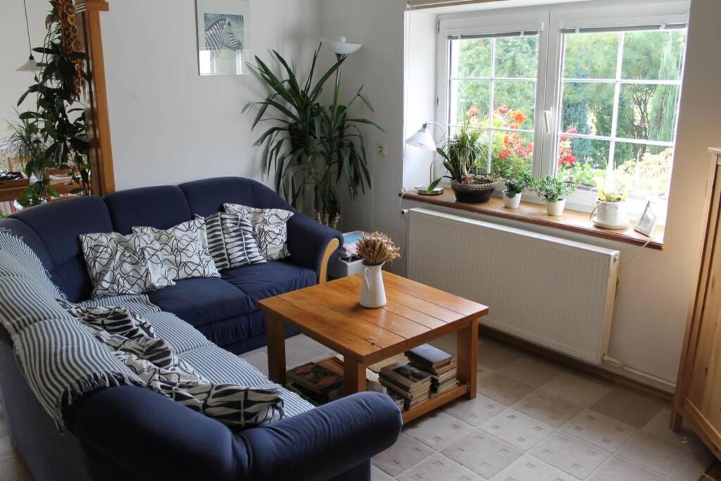 Krásný apartmán v bráně Lužických hor Cvikov Exterior foto