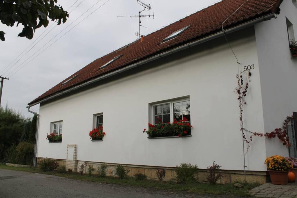 Krásný apartmán v bráně Lužických hor Cvikov Exterior foto