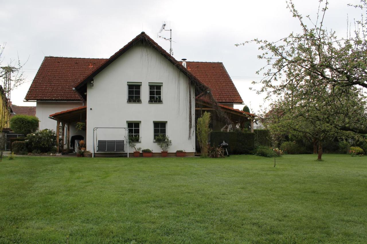 Krásný apartmán v bráně Lužických hor Cvikov Exterior foto