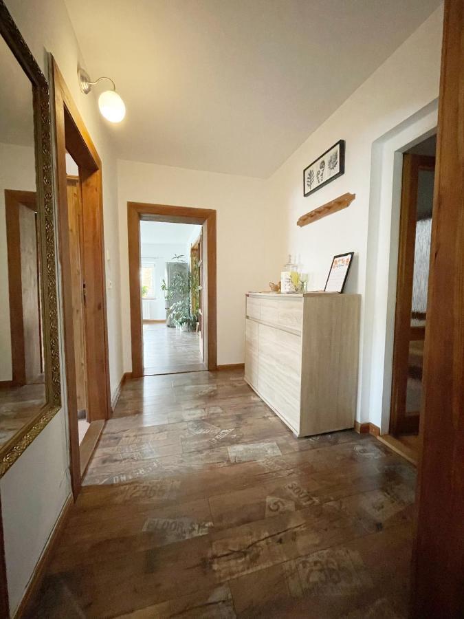 Krásný apartmán v bráně Lužických hor Cvikov Exterior foto
